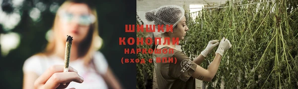 дурь Алексеевка