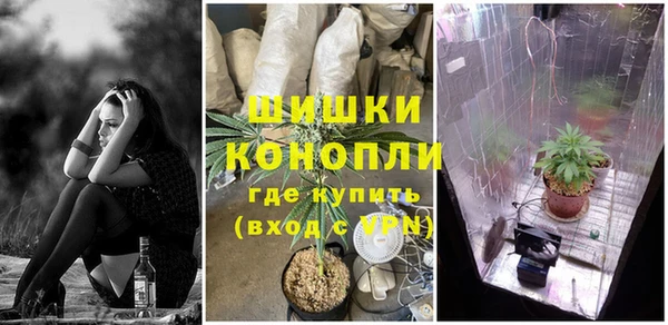 амф Алексин