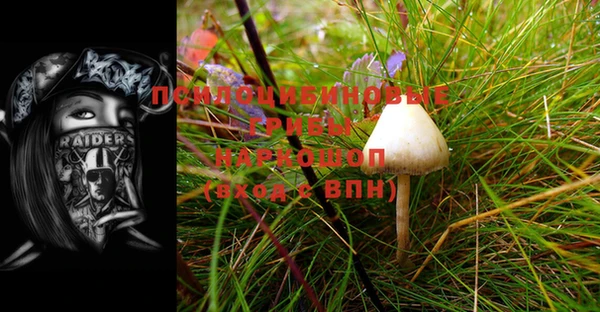 spice Зеленокумск